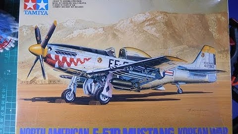 Tamiya 1/48 F-51D Mustang Korean War (Part 2 & Last)