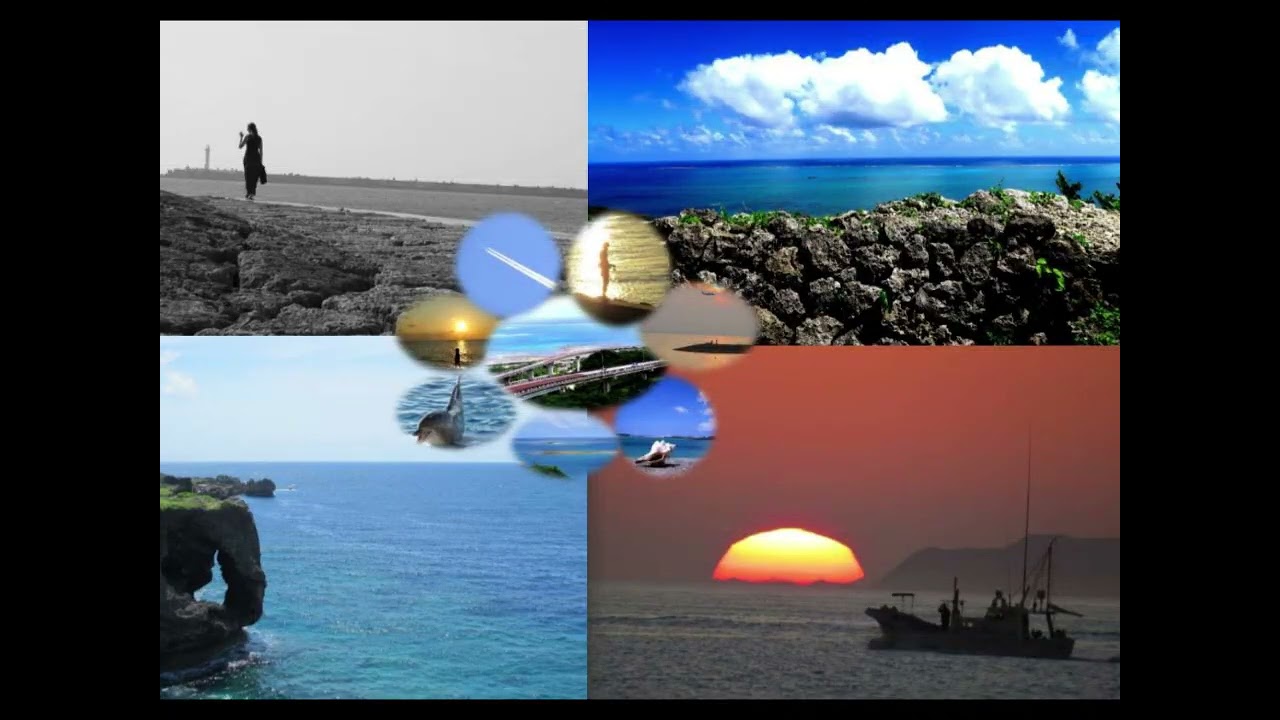 2025年に撮影した写真の中から気に入ったものを選んでまとめてみました。