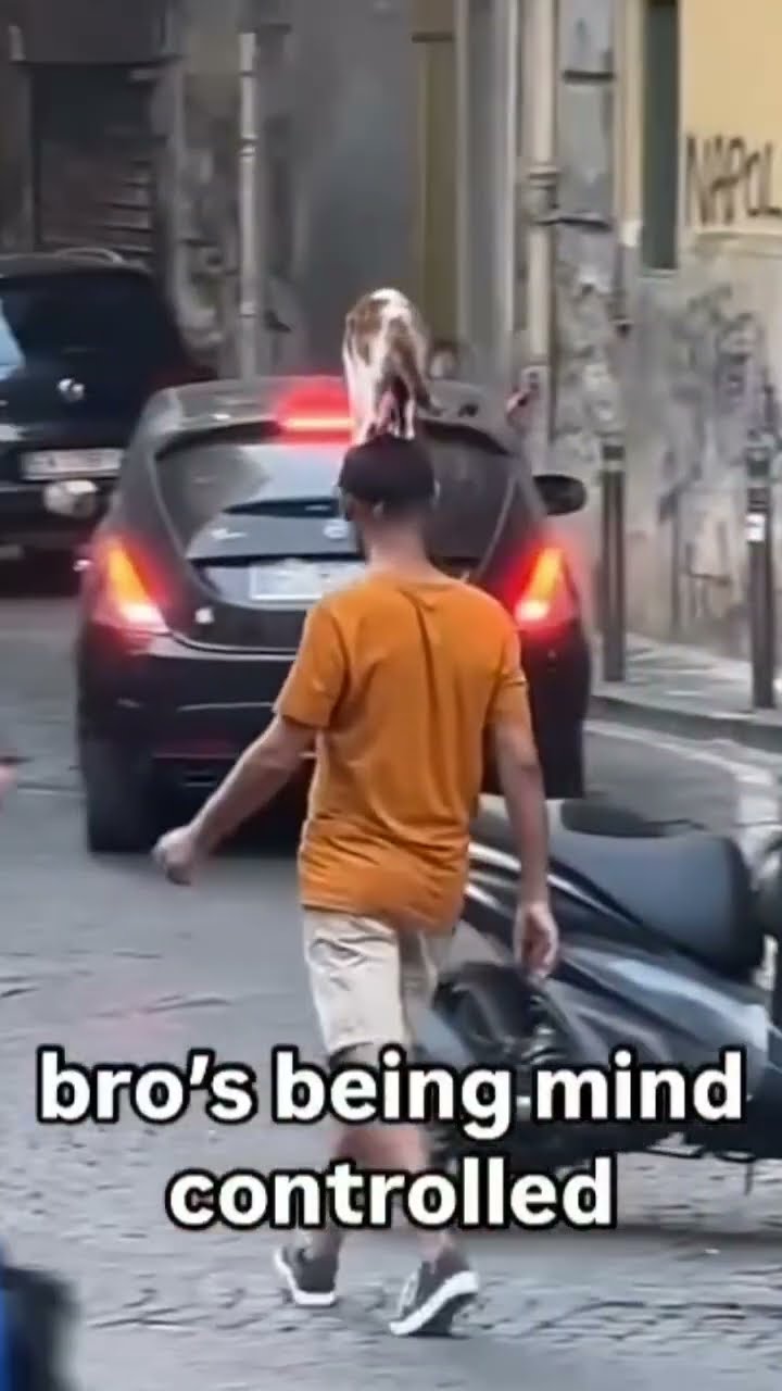 Bro being mind controlled he can’t relax