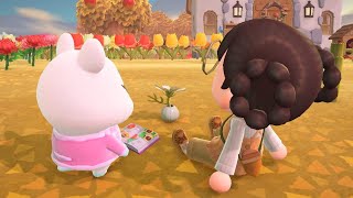 秋のあつ森最高なんだよな～【あつまれどうぶつの森】実況LIVE
