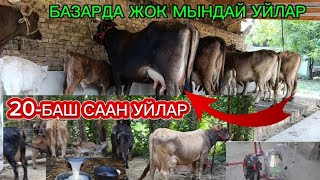 видео: 20-баш СААН МУЗОЛУУ УЙЛАР БАЗАРДА ДА ЖОК МЫНДАЙ УЙЛАР ЧҮЙ ОБЛУСУ БЕЛОВОДСКИЙ, СРЕТЕНКО АЙЫЛЫНДА ☎️✅📞 картинка: 20-баш СААН МУЗОЛУУ УЙЛАР БАЗАРДА ДА ЖОК МЫНДАЙ УЙЛАР ЧҮЙ ОБЛУСУ БЕЛОВОДСКИЙ, СРЕТЕНКО АЙЫЛЫНДА ☎️✅📞