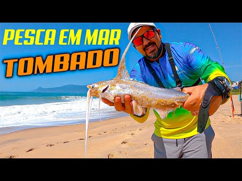 Exploring the Sunken Sea: Family Fishing Tips on the Beach Surfcasting