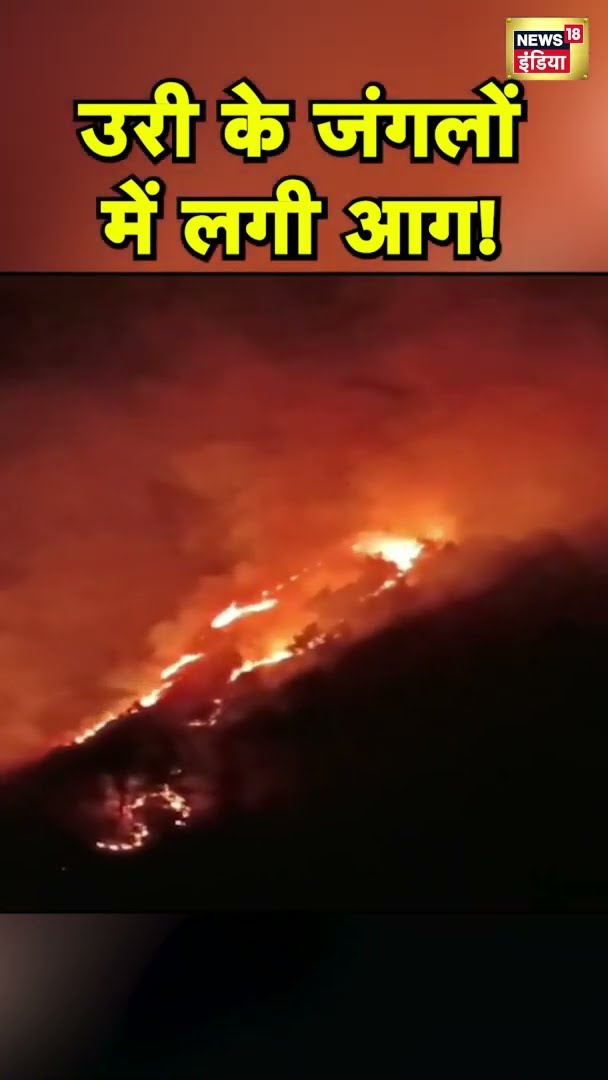 उत्तरी कश्मीर के Uri इलाके के जंगलों में लगी आग | #Shorts | N18S