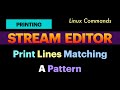Print Lines Matching a Pattern | Text Extraction