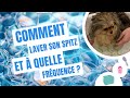  comment bien laver mon spitz nain     100 pomeranian