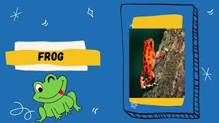 Year 1 Superminds Pet Show page 34