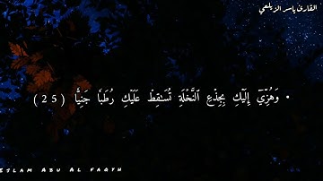 حالات القارئ ياسر الزيلعي