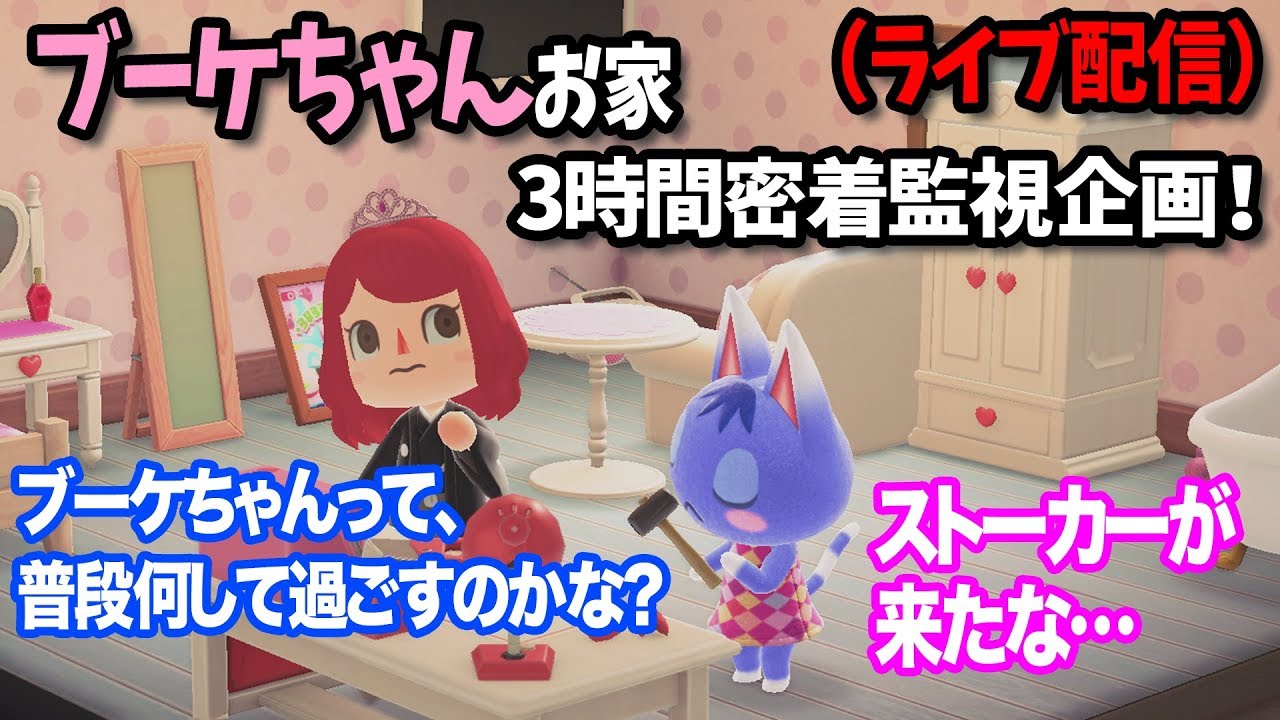 ブーケちゃんのお家で密着監視企画 3 あつまれどうぶつの森 Youtube ブーケちゃんのお家で密着監視企画 3 あつまれどうぶつの森 Youtube