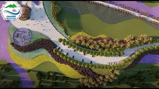 Çekerek'te Dünyanın en büyük lavanta bahçesi kuruldu