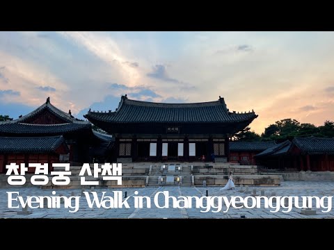 창경궁 야간개장 산책 홍화문에서 춘당지를 지나 대온실까지 서울고궁투어 Evening Walk In Changgyeonggung Palace Seoul Korea 