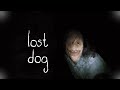 Lost dog  short horror film