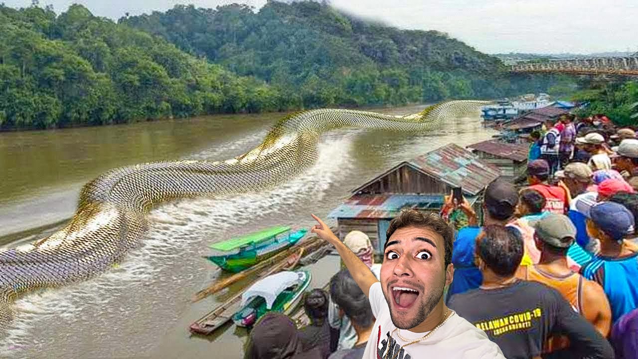 SURREAL o TAMANHO dessa COBRA CAPTURADA em VIDEO no LAGO