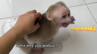 Baby Monkey SUGAR Funny Jealous with Na Puppy