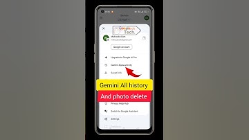 Gemini Data Delete Kaise Kare | Google Gemini Se Photo Delete Kaise Karen | #gemini #geminiphoto