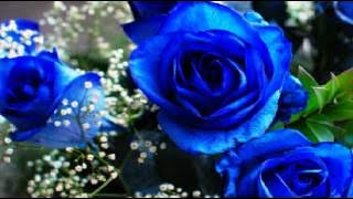 [INSTRUMENTAL] Red Velvet - 사탕 (Candy)