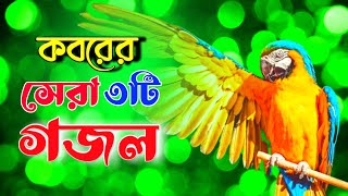 খুবই দুঃখের কবরের সেরা মায়াবী কন্ঠের মন প্রান জুড়ানো ২টি গজল | Best islamic gojol | bangla gojol