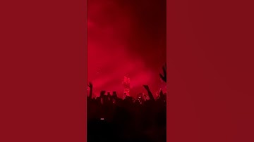 Welcome To My Island (Live) - Caroline Polachek