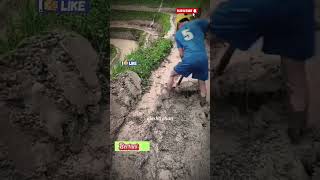 Download Lagu Aura Petani! teknik cangkul sawah dengan cepat dan efisien #farming #agriculture #shorts MP3