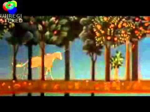 John Quale - Last Unicorn.wmv