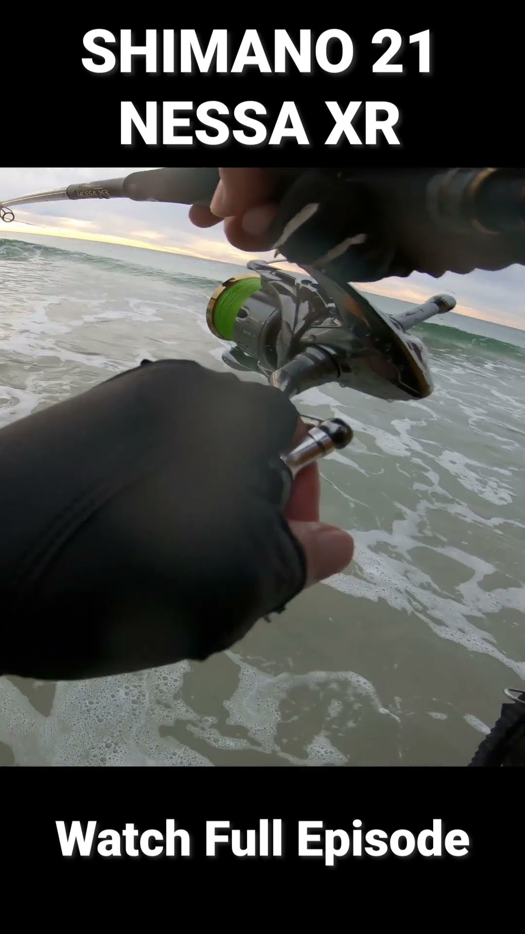 SHIMANO 21 NESSA XR - Japan Fishing and Tackle News