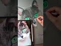 Tutoriel  comment faire des poils de chat au pastel sec partie 1