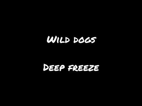 Wild dogs  deep freeze