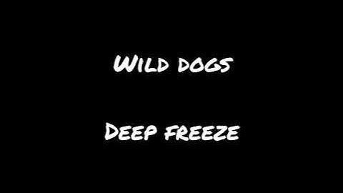 Wild dogs  deep freeze