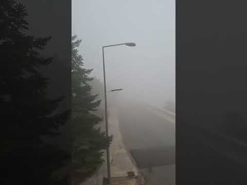 رجعت الشتوية