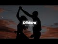 Dildara wormono lofi remake slowed and reverb  vibie editz 