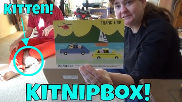 KitNipBox Unboxing Cat Toys! 😻