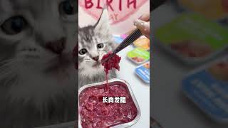 Cats are carnivores. While feeding them cat food you can also feed them some raw bones and