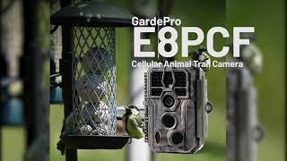 GardePro E8PCF, 2024 Wifi trail camera Bird camera| Trailcam