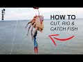 This bait catches SO MANY FISH! Pier/ Bridge Fishing w/ LIVE CRABS
