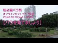 靭公園バラ祭　オンラインカフェ　【バラを育てましょう】