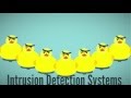 Intrusion Detection Systems