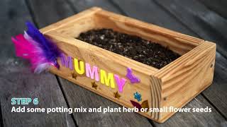 How to Build your own Mini Garden | Mitre 10 Easy As Kids DIY