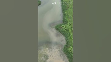 SWM Facility In Action  |  GEO Morphix Ltd.