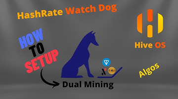 How To Use Hash Rate Watch Dog | Dual Mining | Ethereum & Ton or ALPH