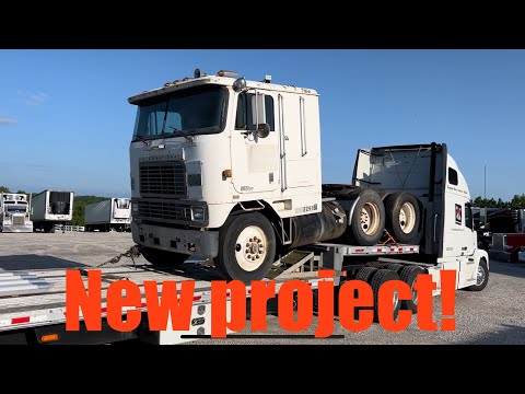 working on petes, w9s, great dane trailer and a international COE