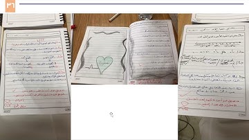 شرح أفكار نموذج الحلقات المتداخلة -2