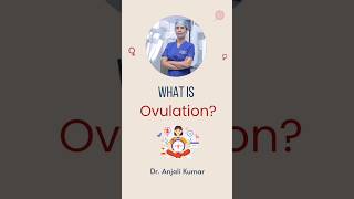 What is Ovulation?