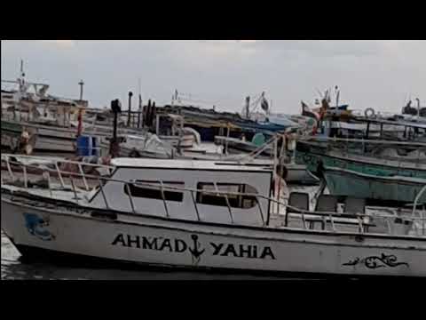 يا جمال اسكندرية