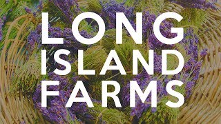 Long Island Farms