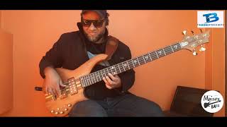 Moisés Bass - Contrabaixo Ledur com Preamp TB Tech Delta II