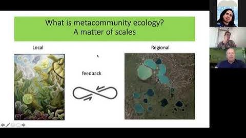 Mathew Leibold - Linking process to pattern in community assembly in diverse metacommunities