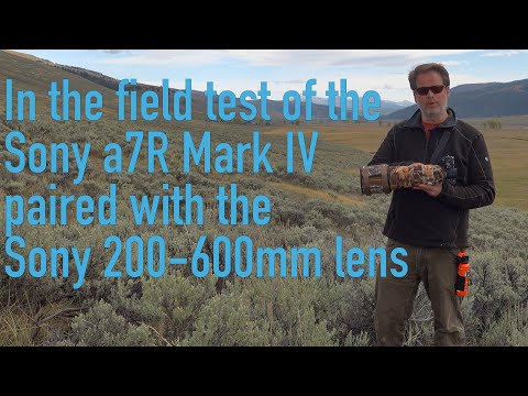In The Field Review of the Sony a7R Mark IV paired with the Sony 200-600mm Zoom Lens