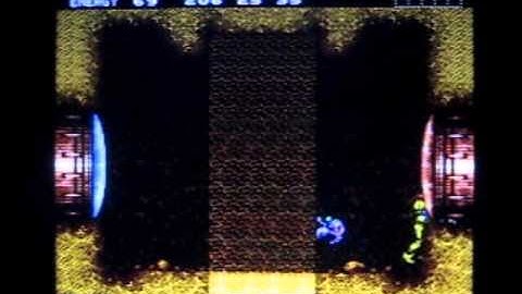 Botwoon-Skip with minimal equipment