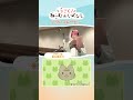 第7話「ランプの精のねこ」アフレコムービー｜アラジン役：佐久間大介 #ねこむかしばなし #佐久間大介 #アラジン