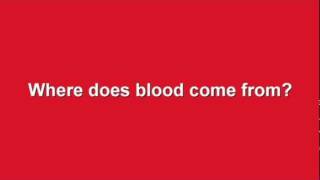 Where does blood come from?