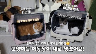 고양이들 이동장이 새로 생겼어요! (ft.위고백 언박싱 후기 디테일하게 알려드림)